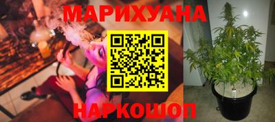 гидропоника Заводоуковск