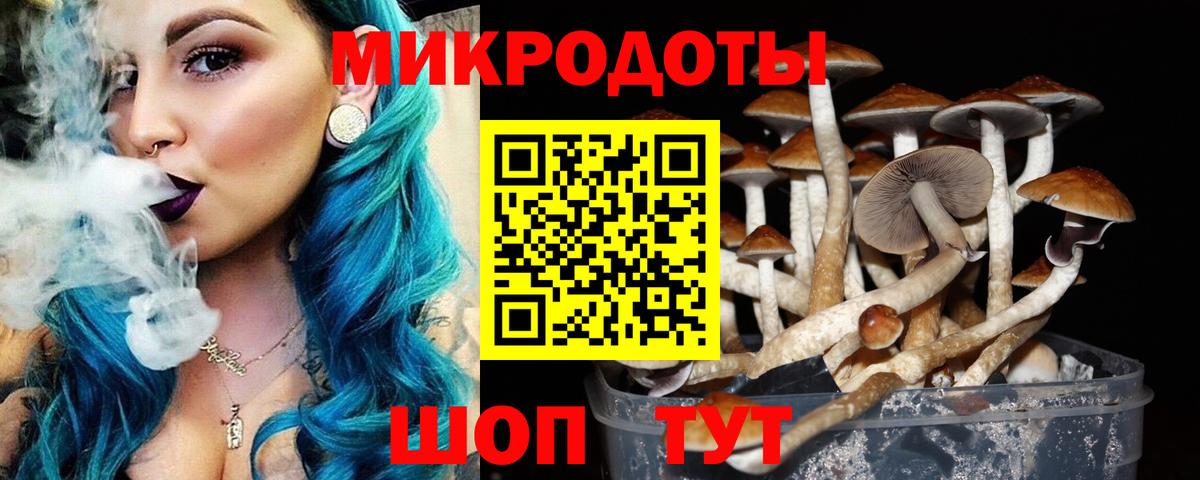 Псилоцибиновые грибы Magic Shrooms Лесосибирск
