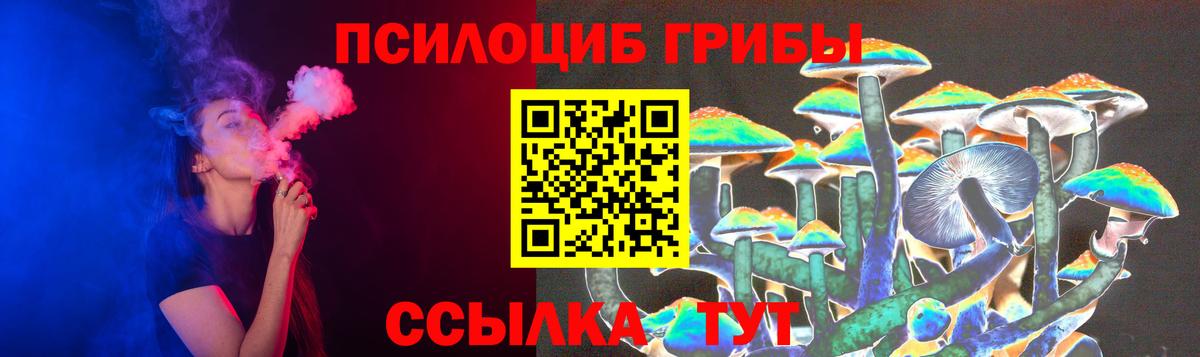 Лесосибирск  Псилоцибиновые грибы прущие грибы  Вход с VPN  Галлюциногенные грибы Cubensis 
